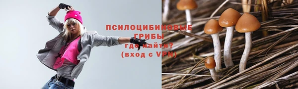 MDMA Premium VHQ Бронницы