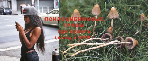 MDMA Premium VHQ Бронницы